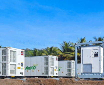 Untitled design (89)