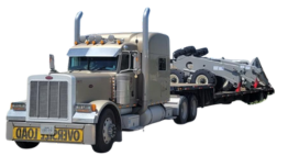 Untitled design (60)